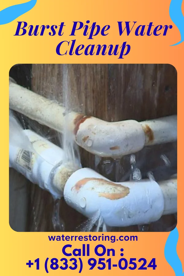 Burst Pipe Water Cleanup in Chester Hill, PA