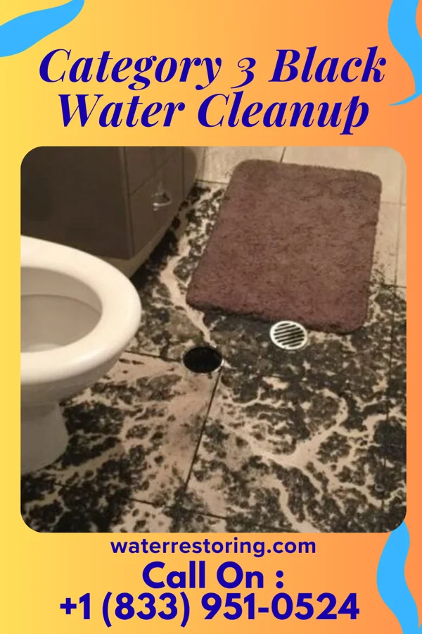 Category 3 Black Water Cleanup in Chester Hill, PA