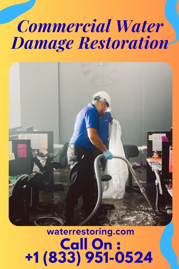 Commercial Water Damage Restoration in Chester Hill, PA