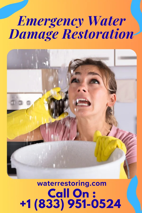 Emergency Water Damage Restoration in Chester Hill, PA