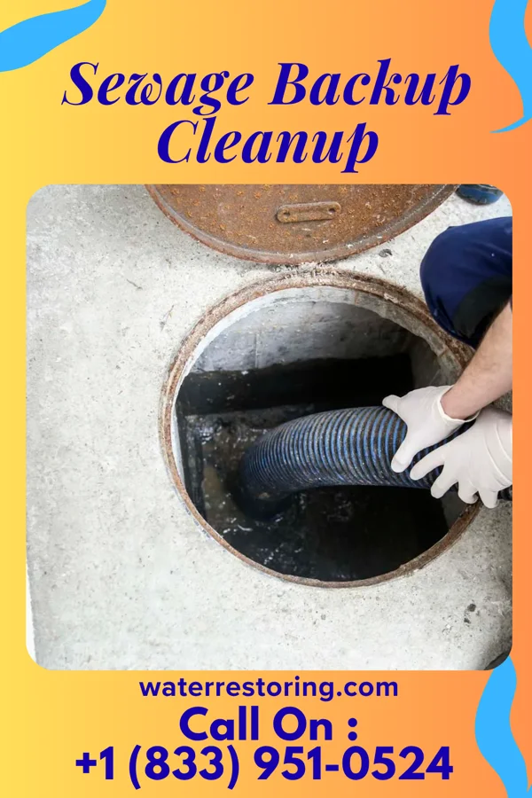 Sewage Backup Cleanup in Chester Hill, PA